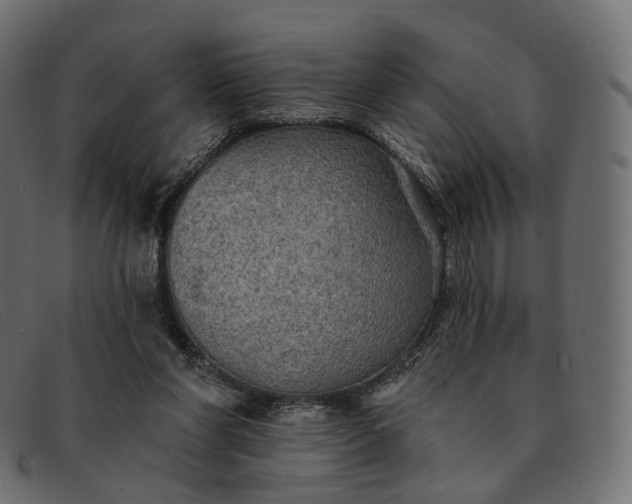 X0000091890206200709191224