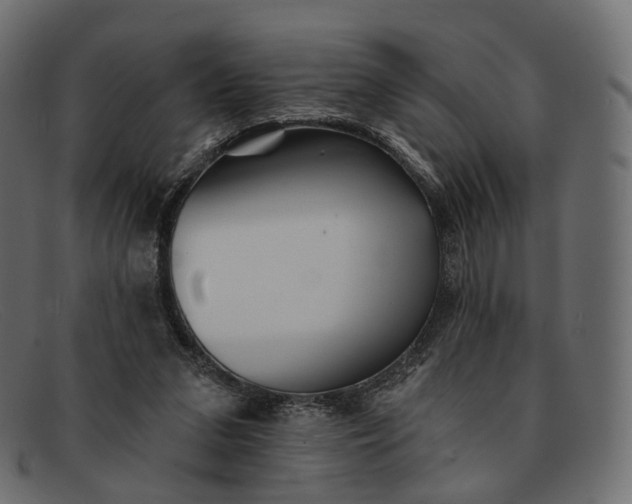 X0000091890207200709191224