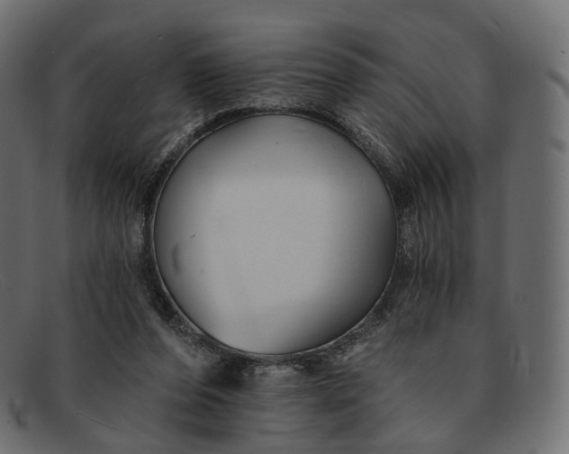 X0000091890208200709191224