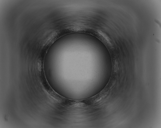 X0000091890210200709191224