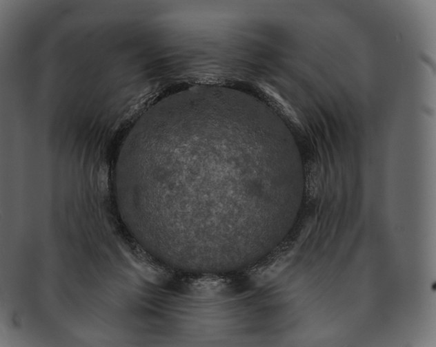 X0000091890213200709191224