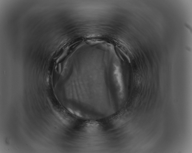 X0000091890214200709191224