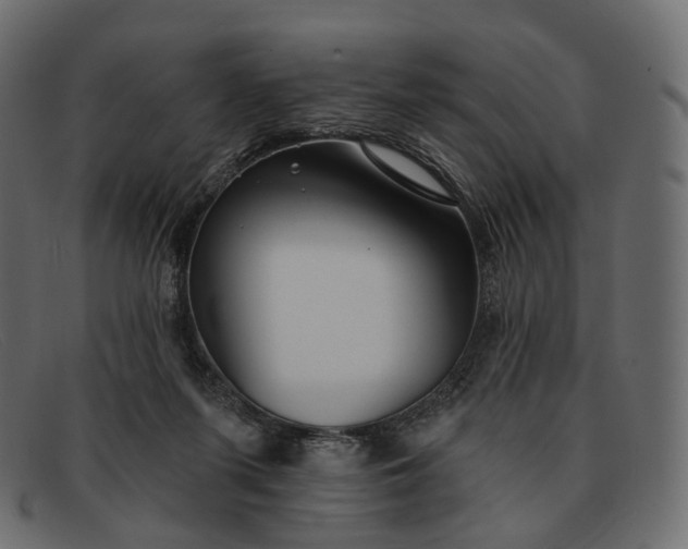 X0000091890215200709191224