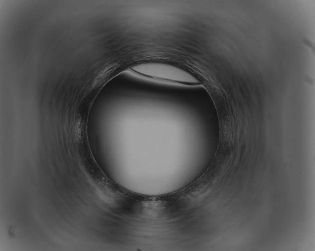 X0000091890216200709191224