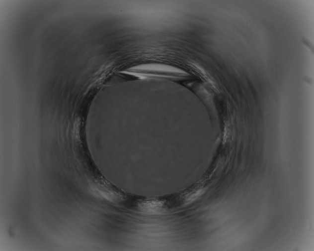 X0000091890217200709191224