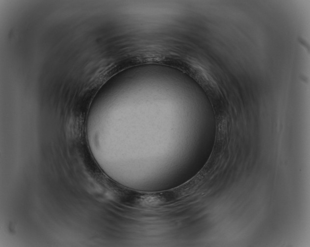 X0000091890218200709191224