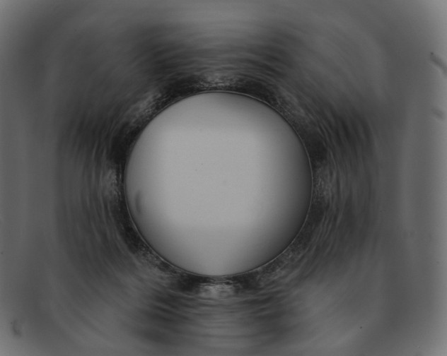 X0000091890220200709191224