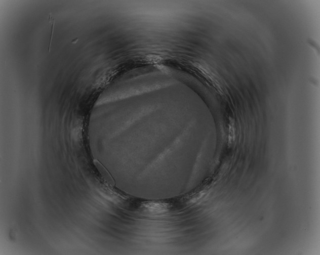 X0000091890221200709191224