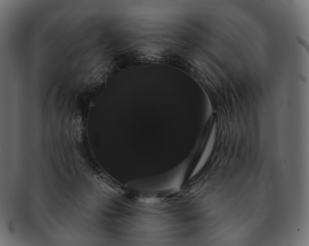 X0000091890223200709191224