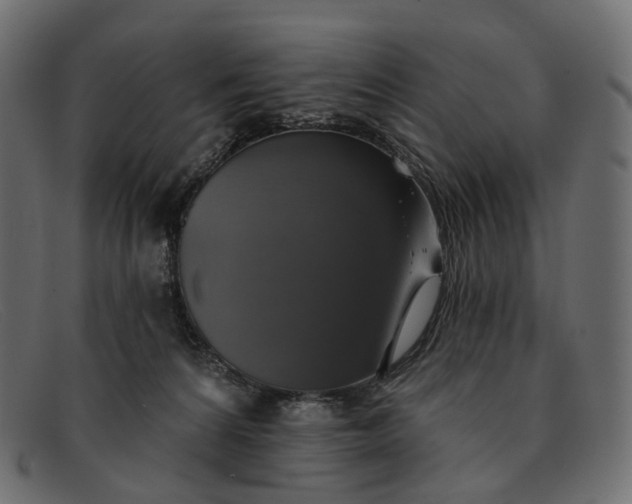X0000091890224200709191224