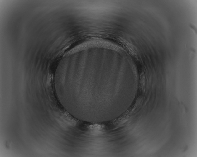 X0000091890225200709191224