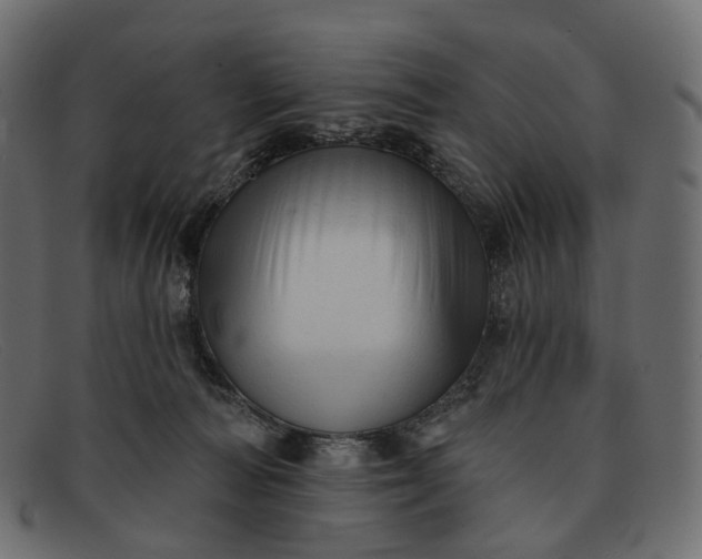 X0000091890226200709191224
