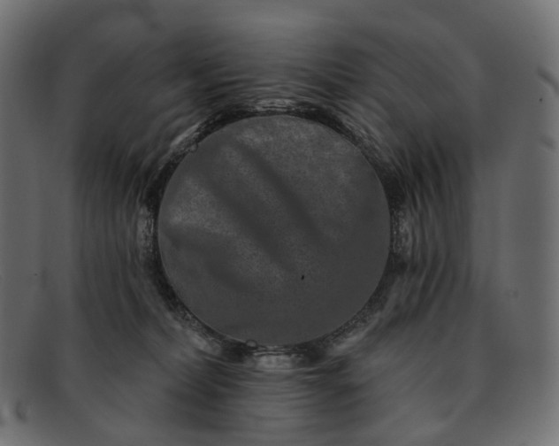 X0000091890228200709191224