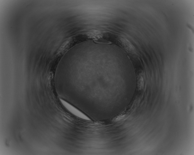 X0000091890229200709191224