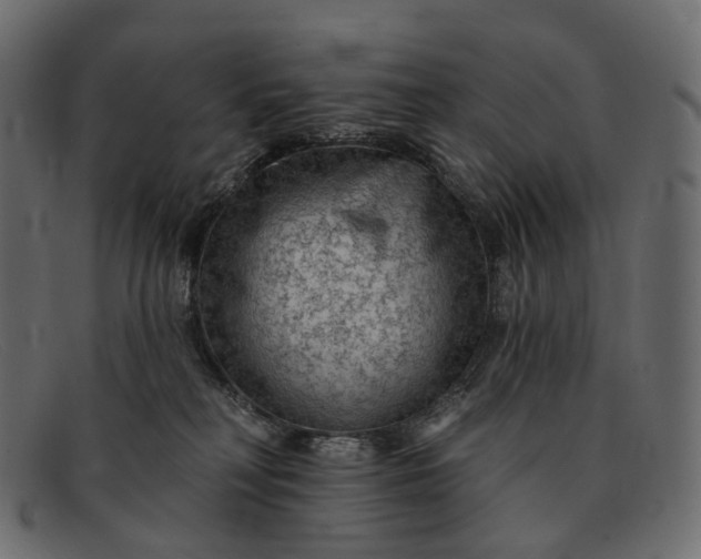 X0000091890230200709191224