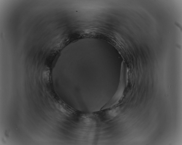 X0000091890231200709191224