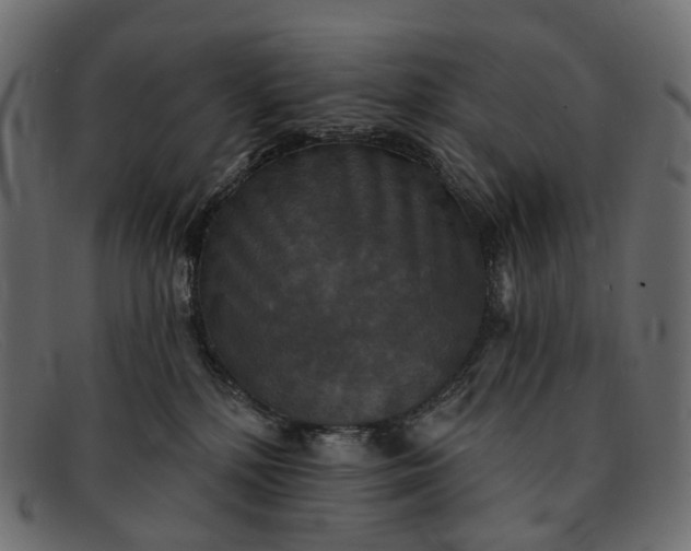 X0000091890232200709191224