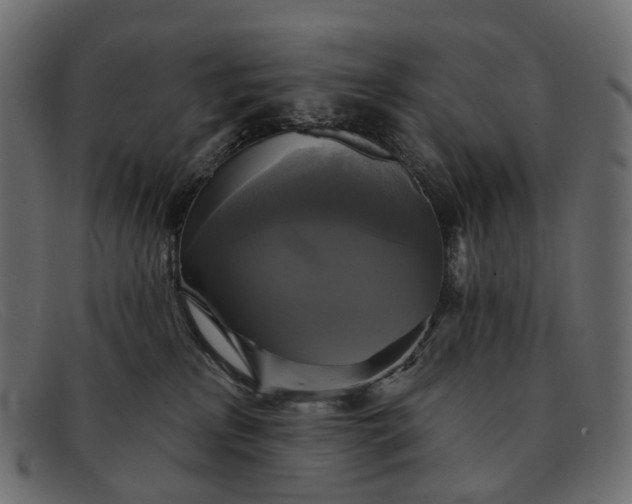X0000091890233200709191224