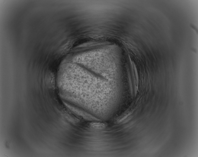 X0000091890234200709191224