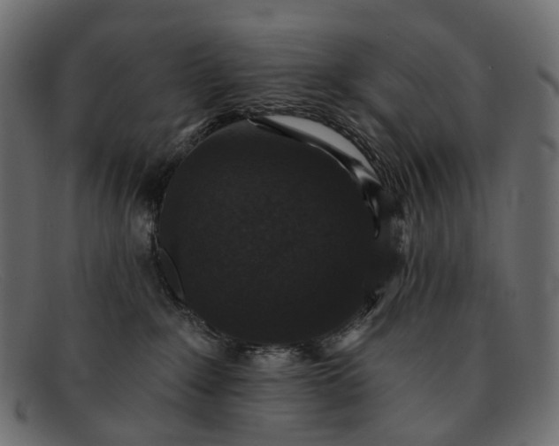 X0000091890235200709191224
