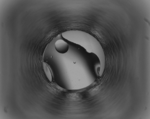 X0000091890237200709191223
