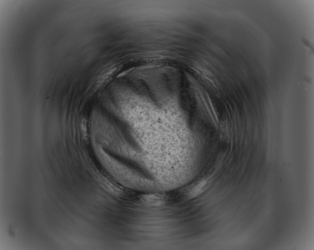 X0000091890238200709191223