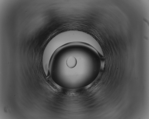 X0000091890239200709191223