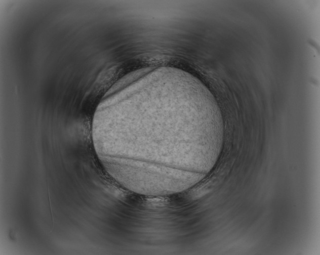 X0000091890240200709191223