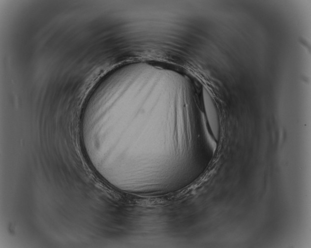 X0000091890241200709191223