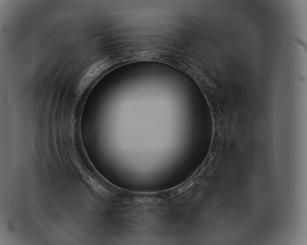 X0000091890242200709191223