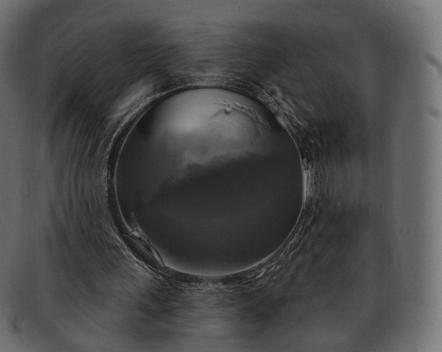 X0000091890243200709191223