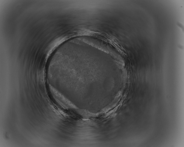 X0000091890244200709191223