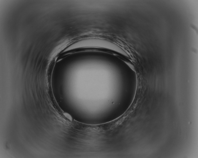 X0000091890245200709191223