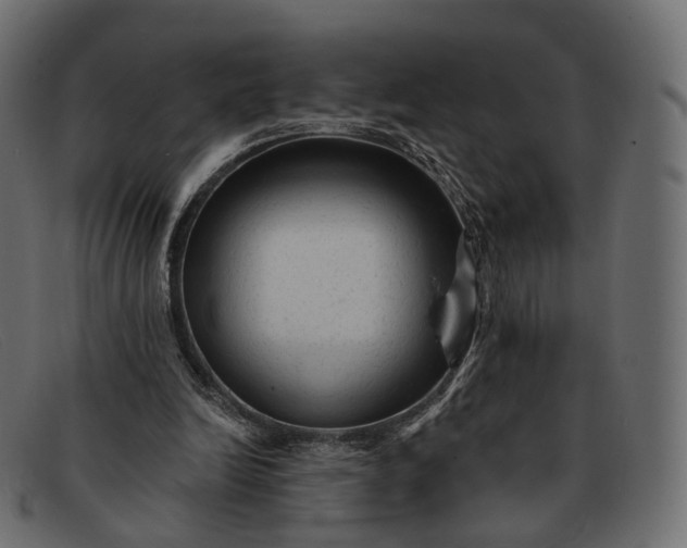 X0000091890246200709191223