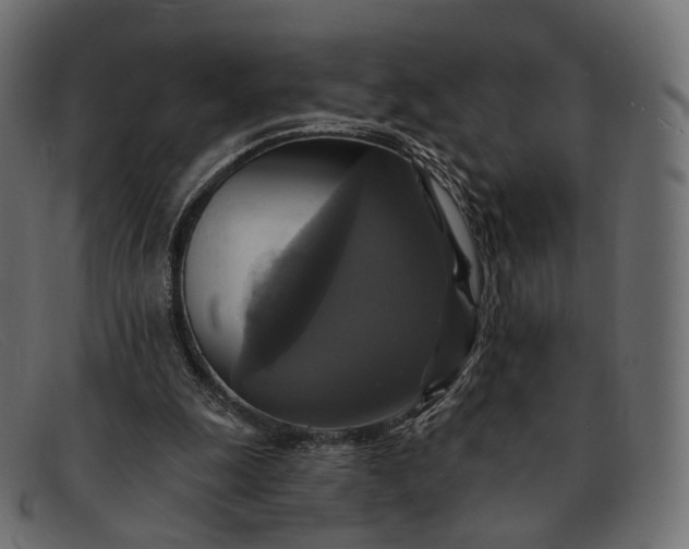 X0000091890247200709191223