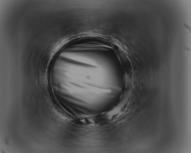 X0000091890248200709191223