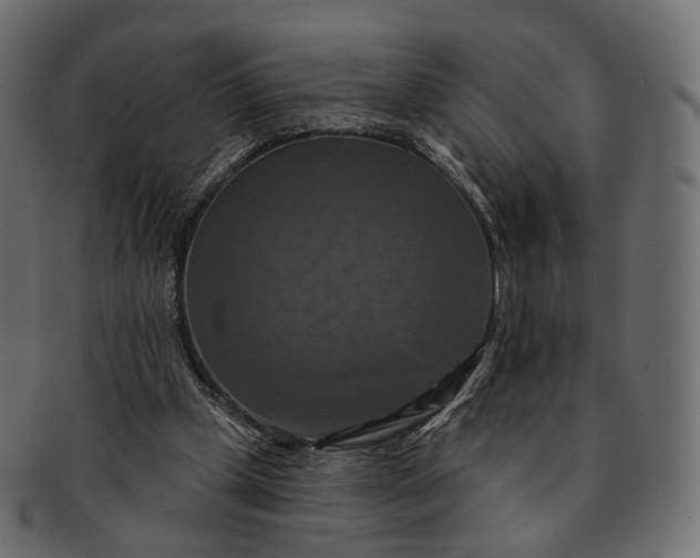 X0000091890249200709191223
