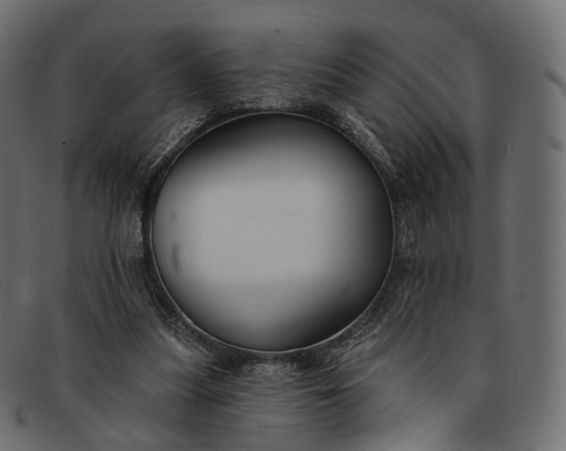 X0000091890251200709191223