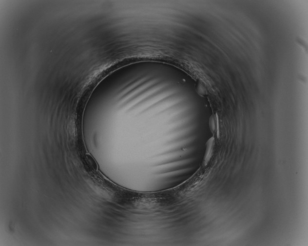 X0000091890252200709191223