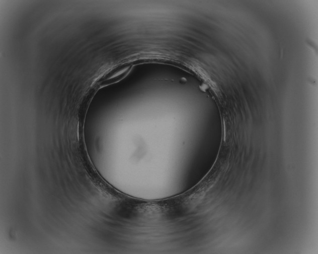 X0000091890253200709191223