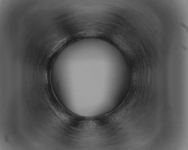X0000091890254200709191223