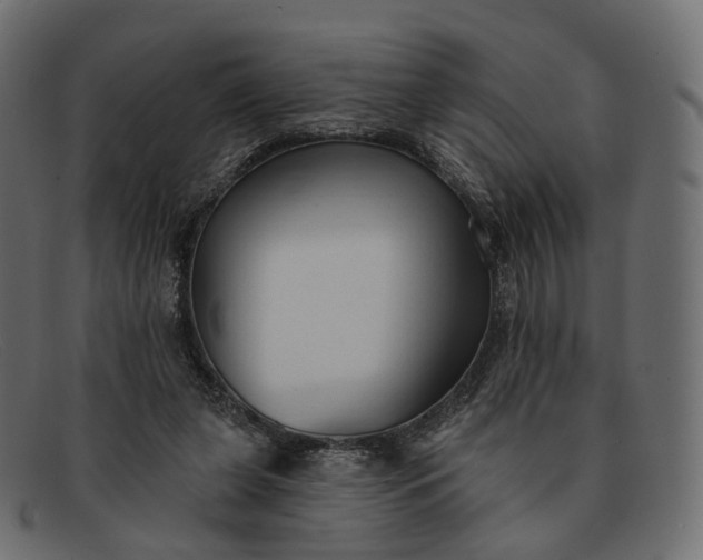 X0000091890255200709191223