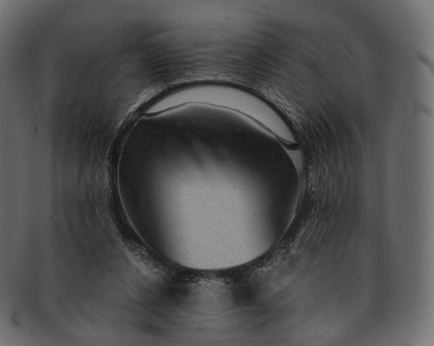 X0000091890256200709191223