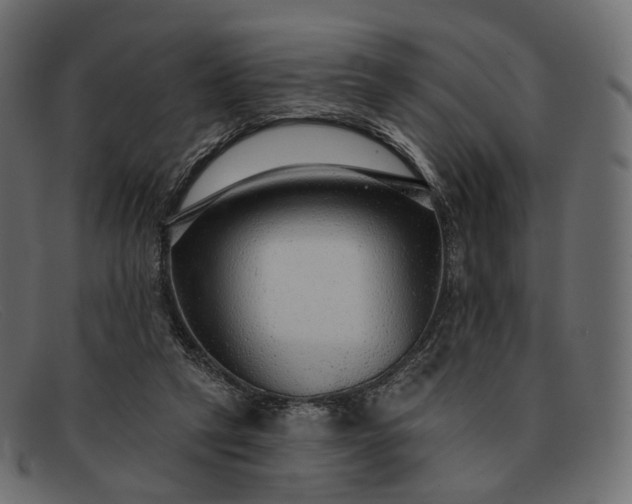 X0000091890257200709191223