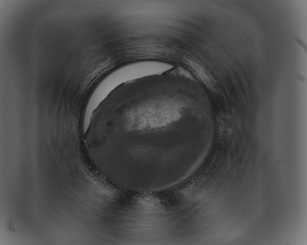 X0000091890258200709191223