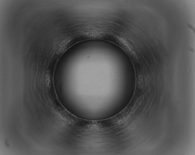 X0000091890259200709191223