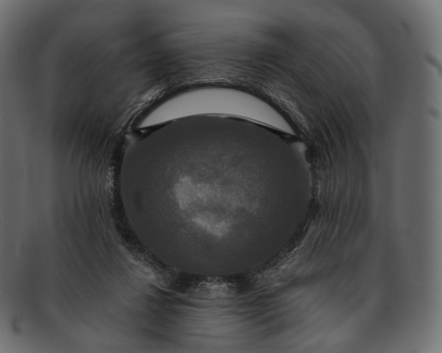 X0000091890260200709191223
