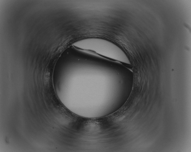 X0000091890263200709191223
