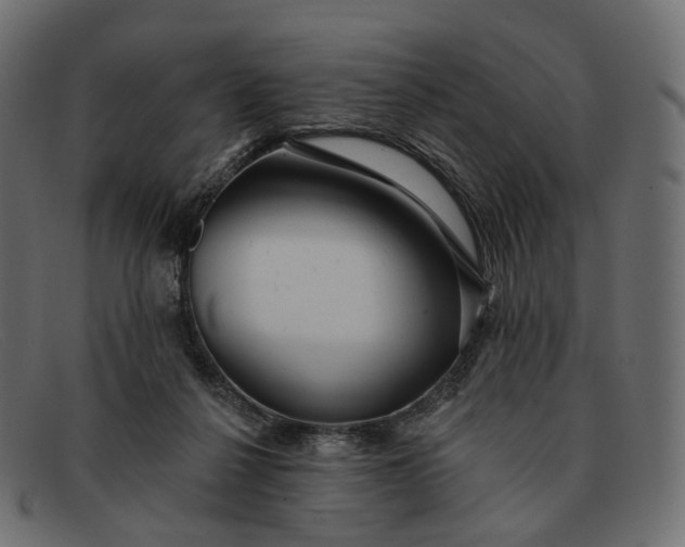 X0000091890264200709191223