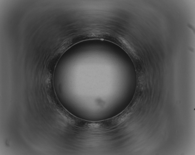 X0000091890265200709191223